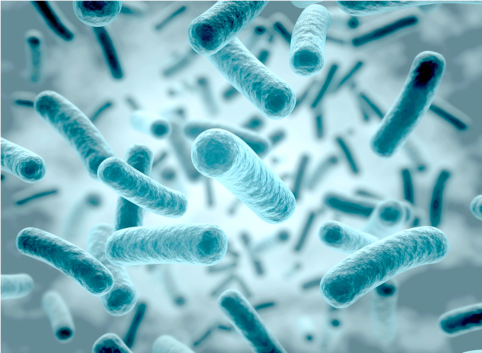 位相差顕微鏡による細菌コントロール